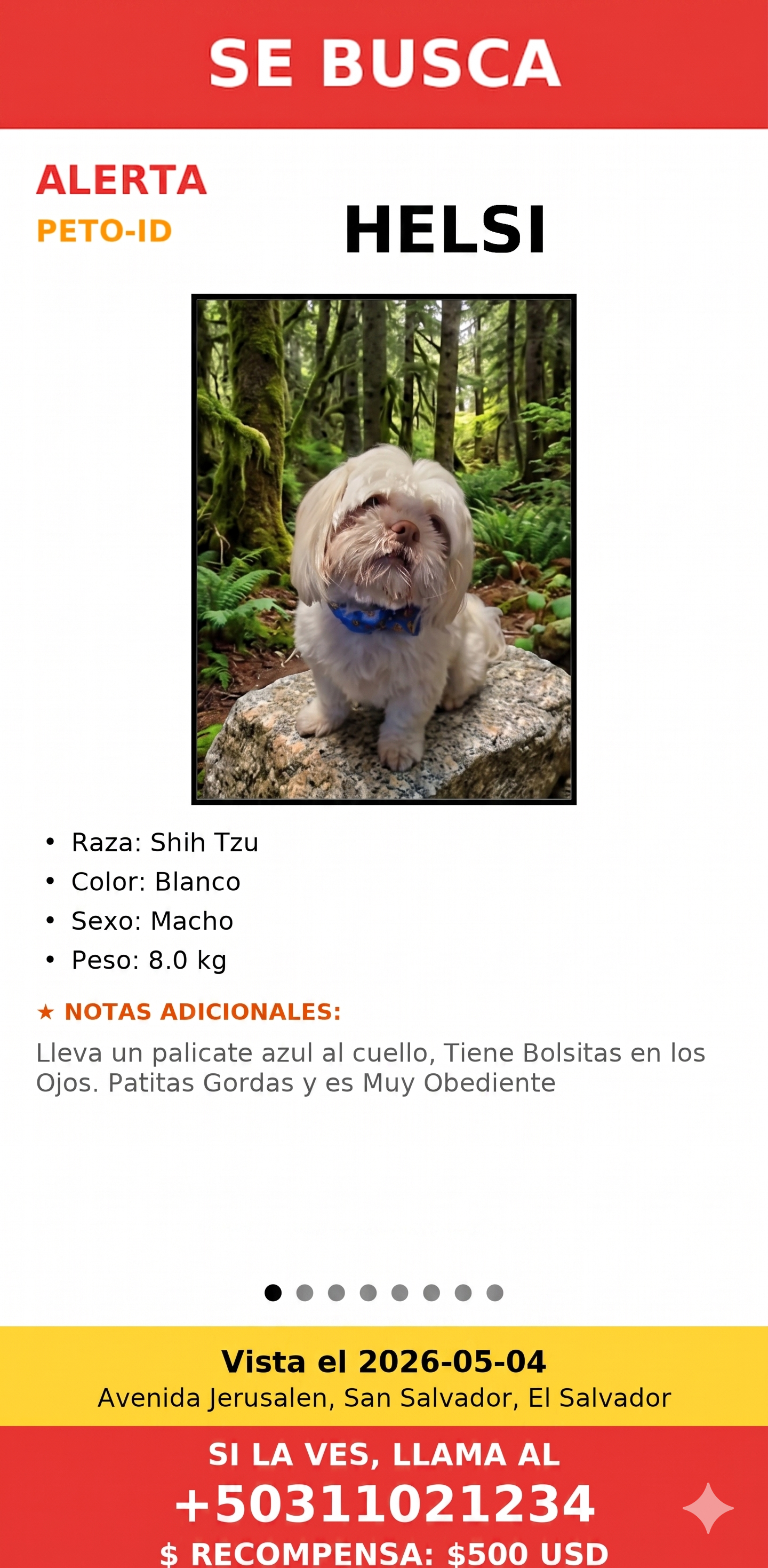 Pantalla de alerta PETO-ID con cartel de mascota perdida