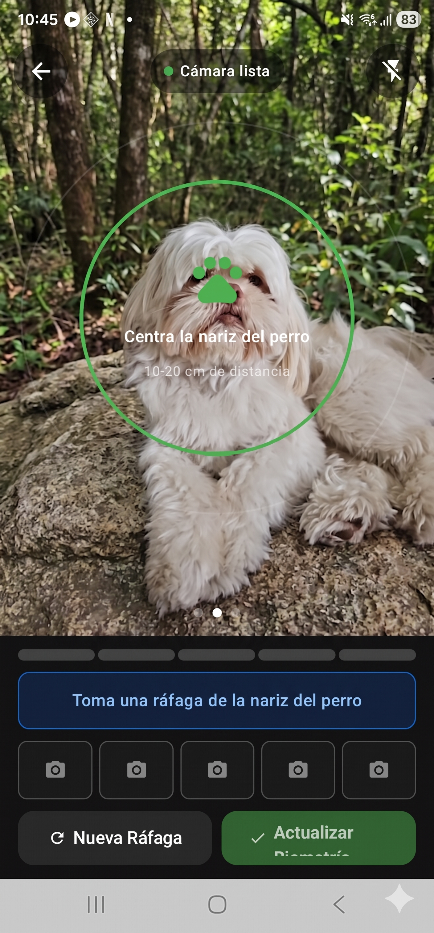 Pantalla de captura de la nariz del perro