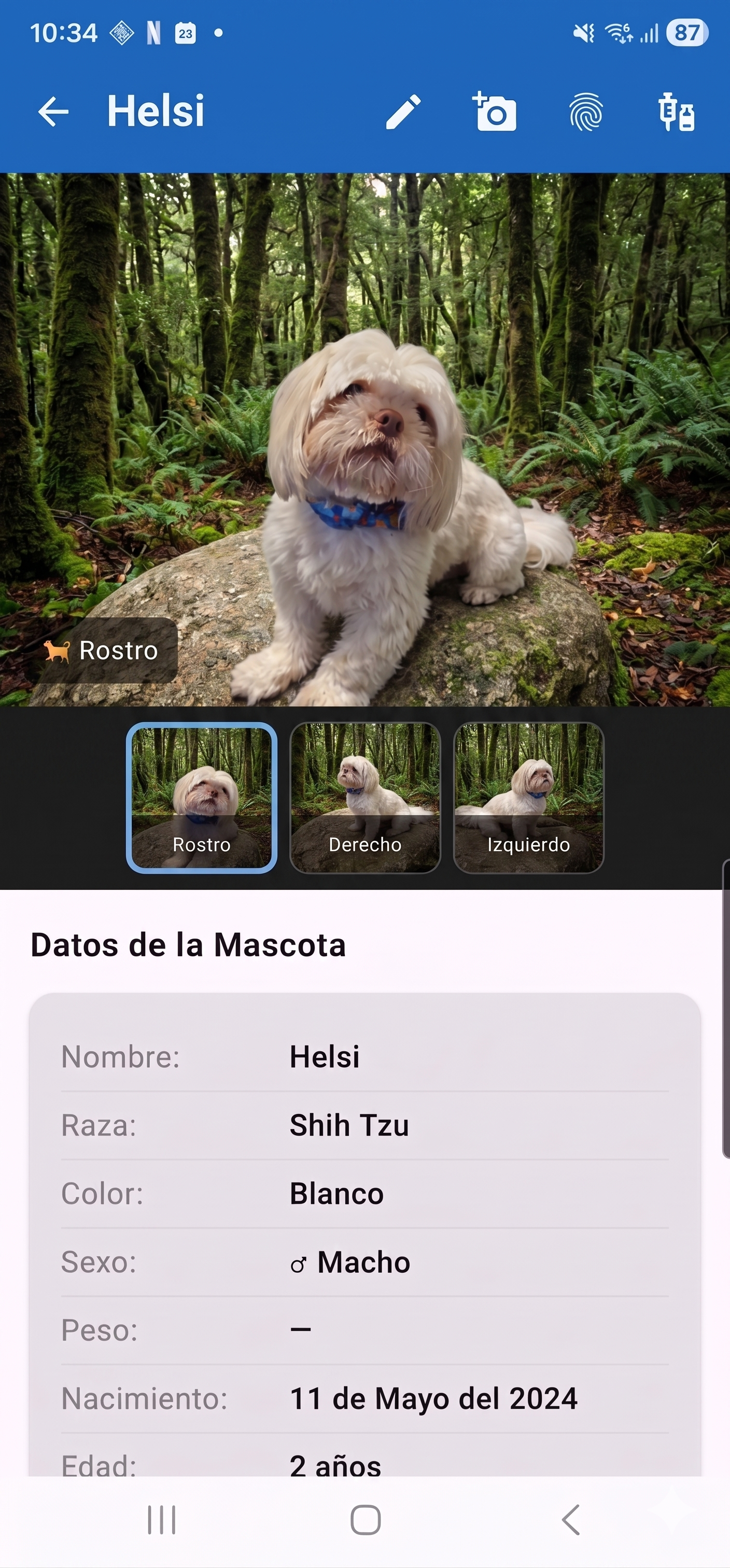 Pantalla principal de la app PETO-ID mostrando el perfil de Helsi